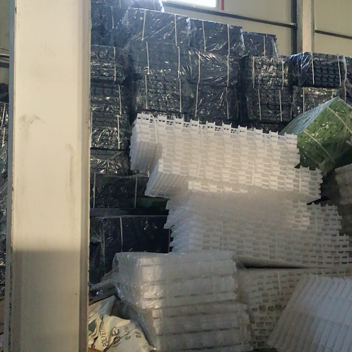 Farrowing Crate Plastic Floor For Pig 500*600mm Buy Farrowing Crate