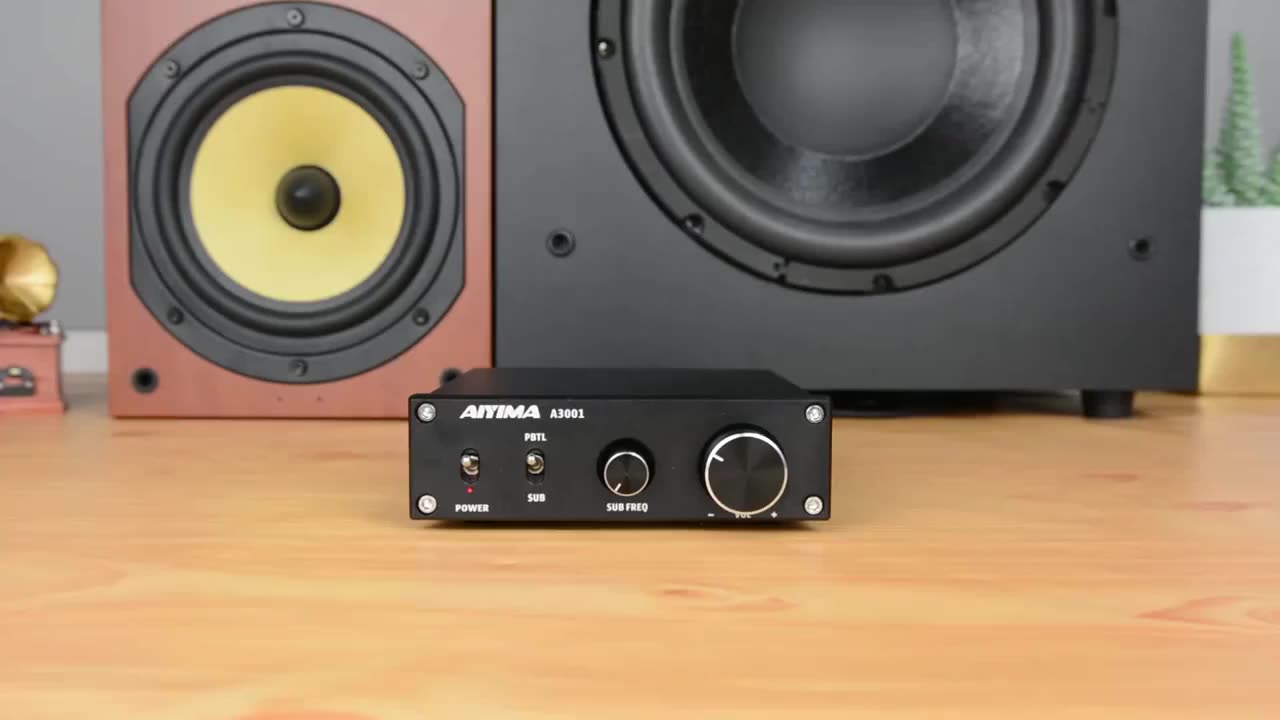 AIYIMA A3001 TPA3255 サブウーファーパワースピーカーアンプ 300W