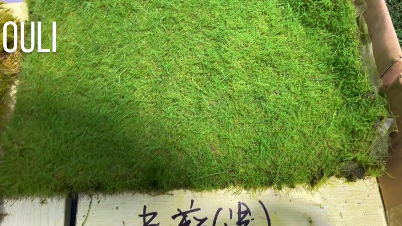 K0500 Home Hotel Wall Decoration Faux Moss Grass Mat Indoor Green Moss