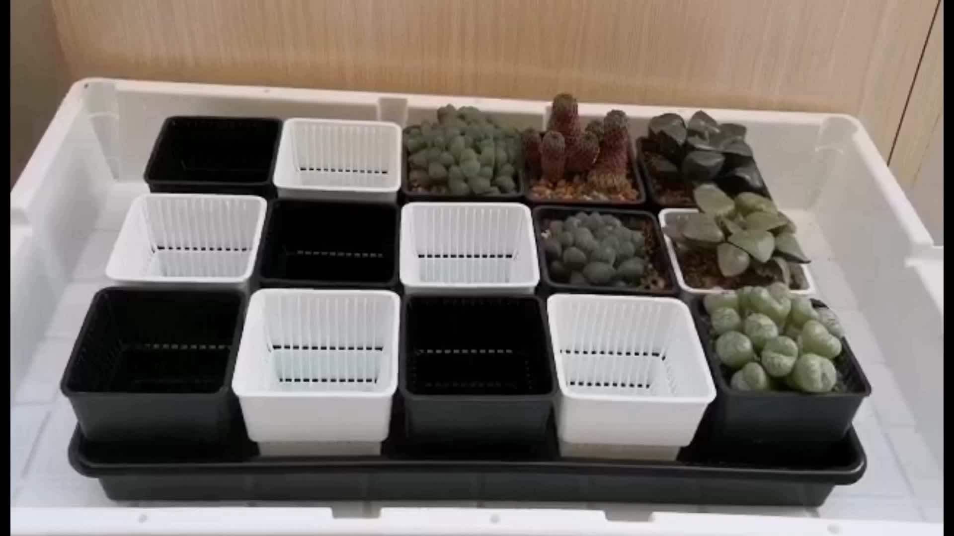 Square Root Control Air Pruning Pot Plastic Flower Pot Succulent