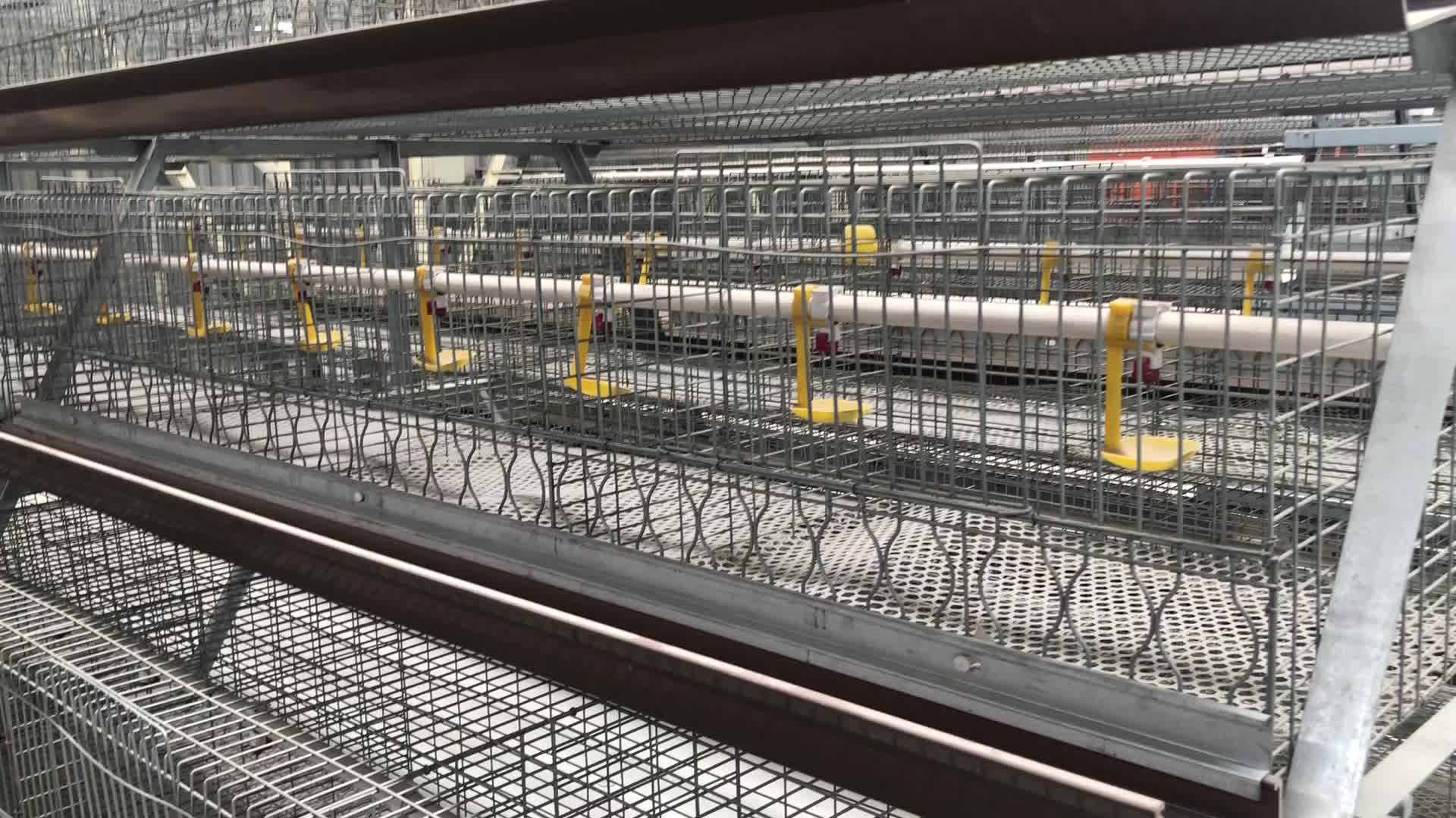 How To Make Battery Cages High Quality Chicken Layer Cages Easy Install Poultry Layer Cage For