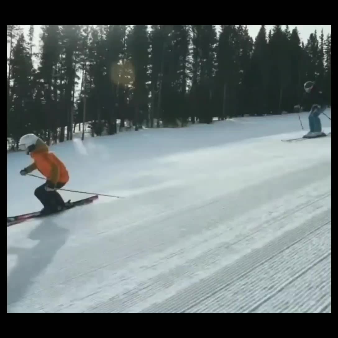 Ski Pole Carrier Straps With Cushioned Holder Protects Downhill Skiing