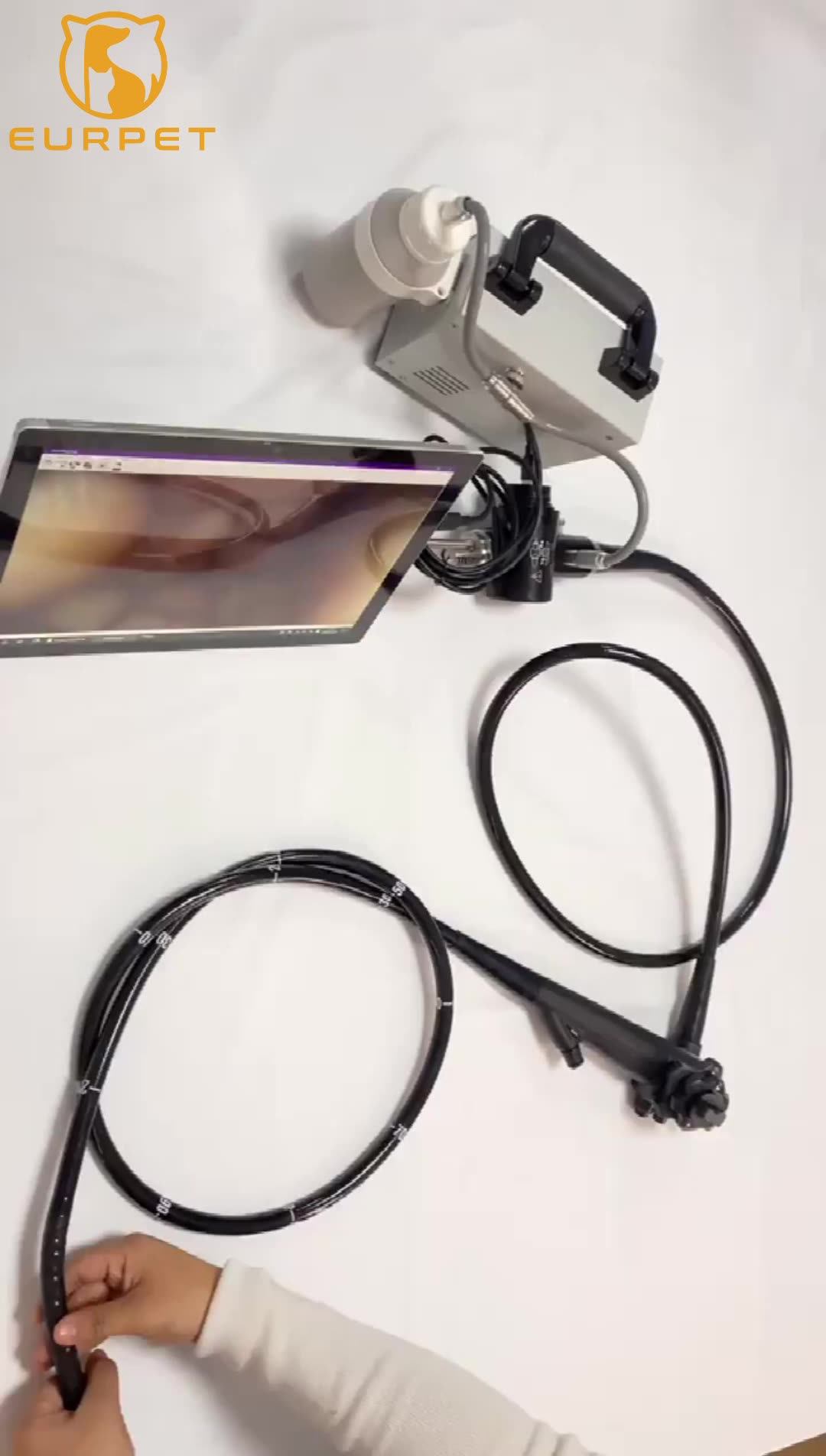 Eur Pet China Manufacturer Factory Endoscope Portable Video