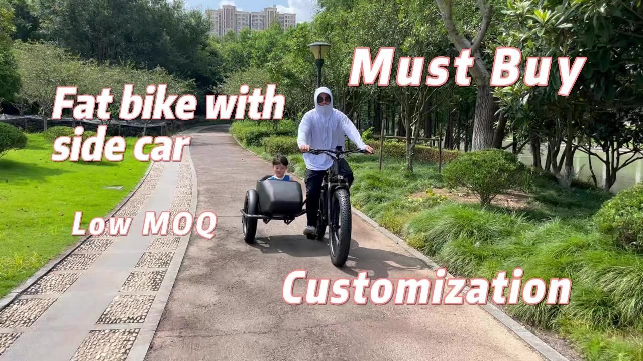 Lantu Ebike Oem Factory 3 Wheel Fat Tire Tricycle Electric Bike With