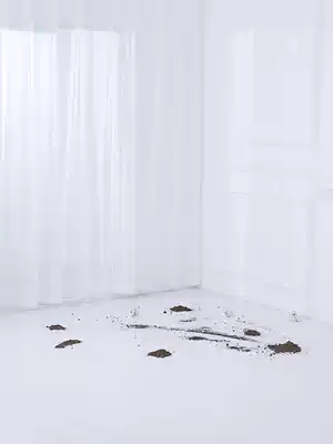 Carpet bedroom living room whole summer home waterproof and dirt-resistant mat large area full office carpet