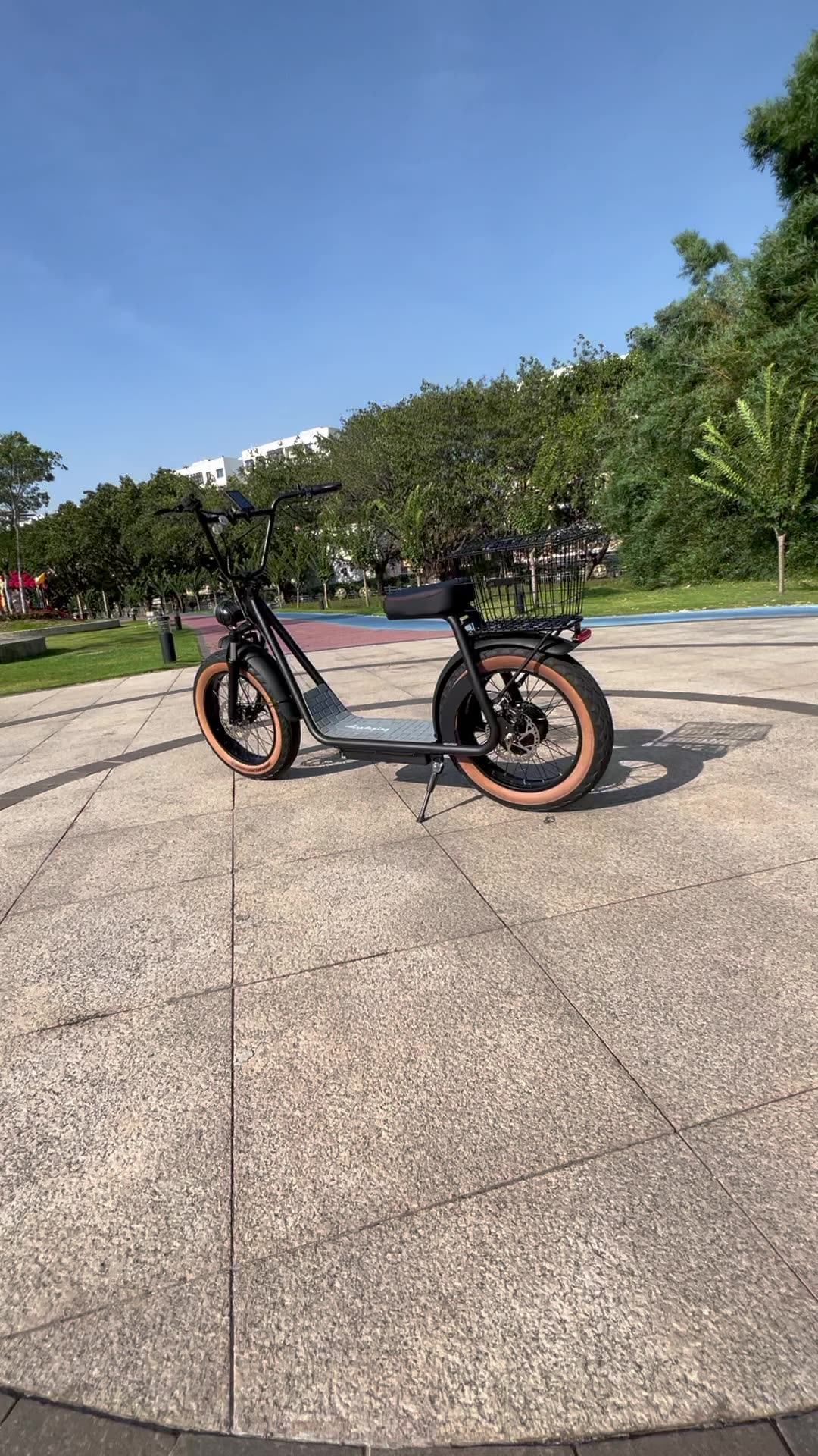 Electric Bicycle Scooter With Baskets &seat The Best Scooter We Choose