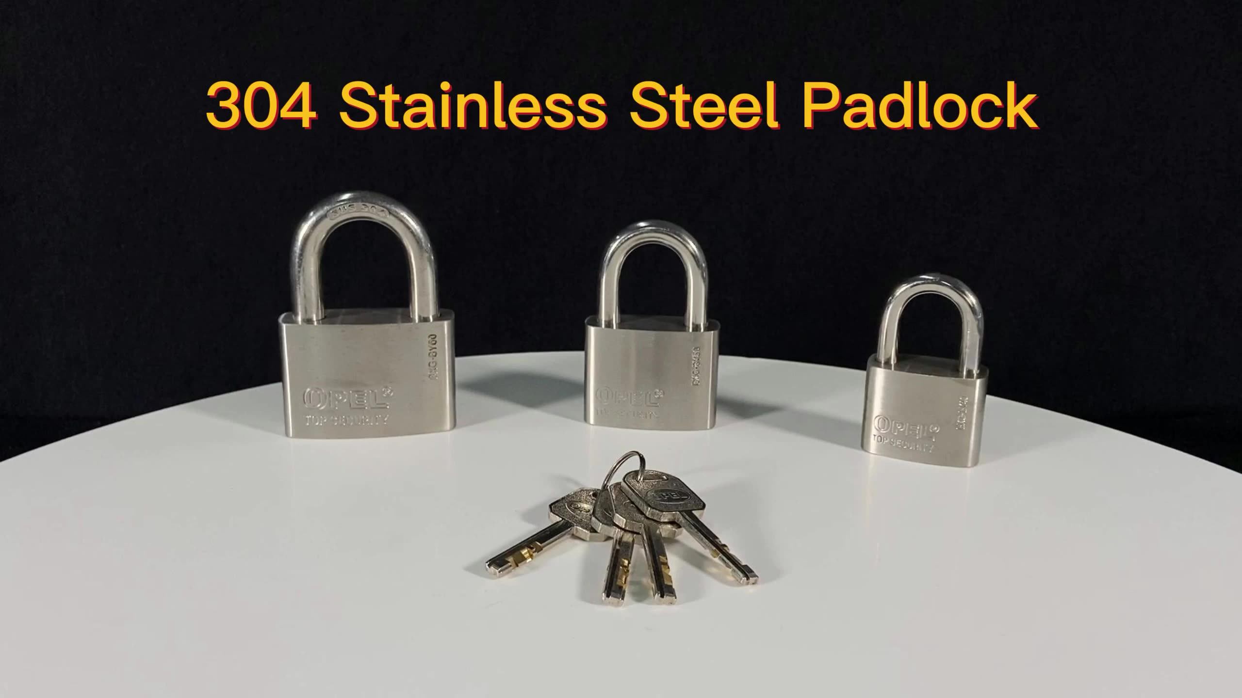 Heavy Duty Rekeyable Marine Grade Top Security Oval Shape Antirust Sus304/316 Stainless Steel