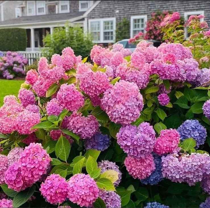 朵雨花卉园艺