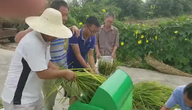 Foot Powered Wheat Thresher For Sale - Buy Foot Powered Wheat Thresher