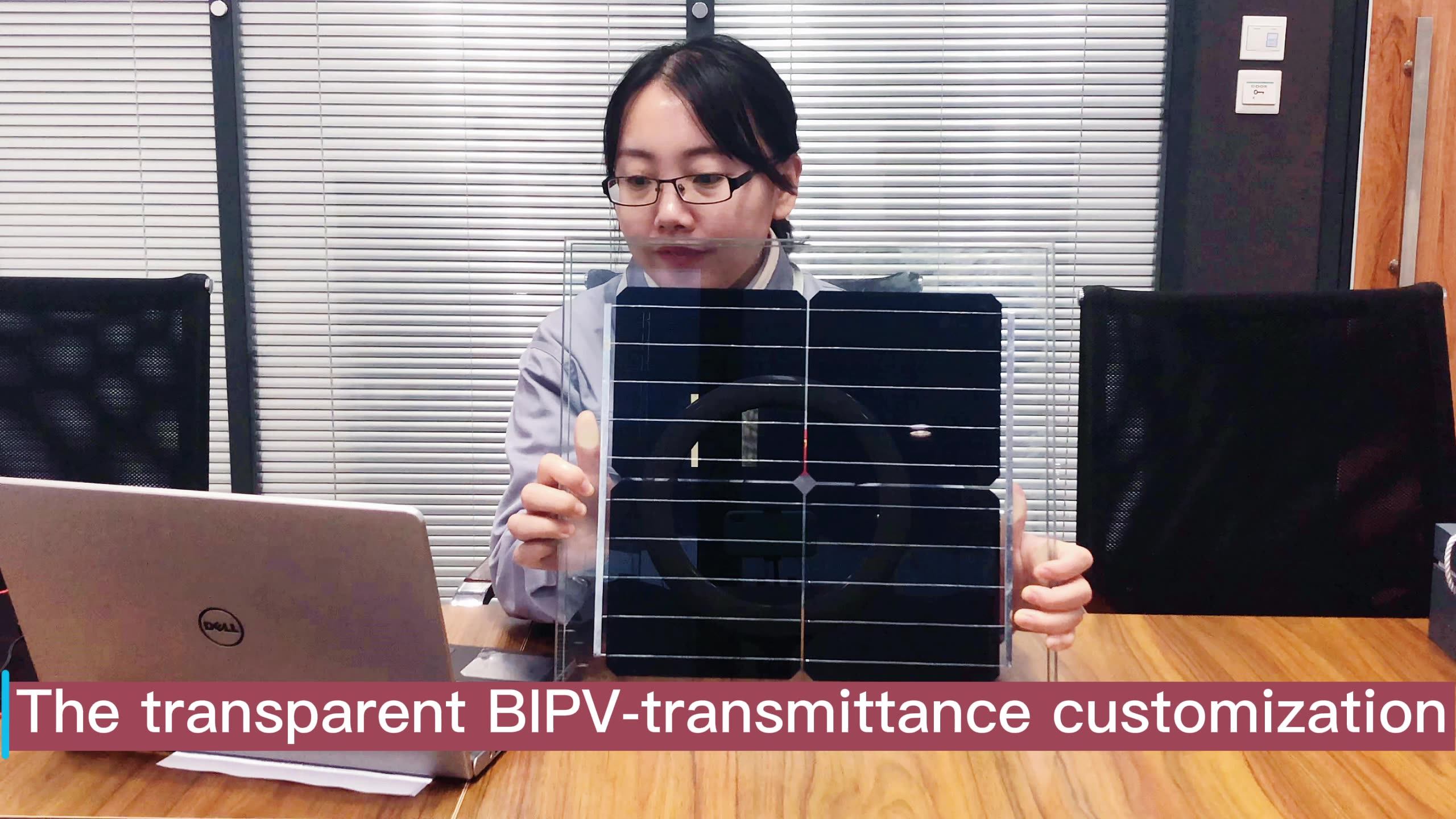 Jiasheng Gain Solar Bipv Facade/window/rooftop System Bipv Transparent