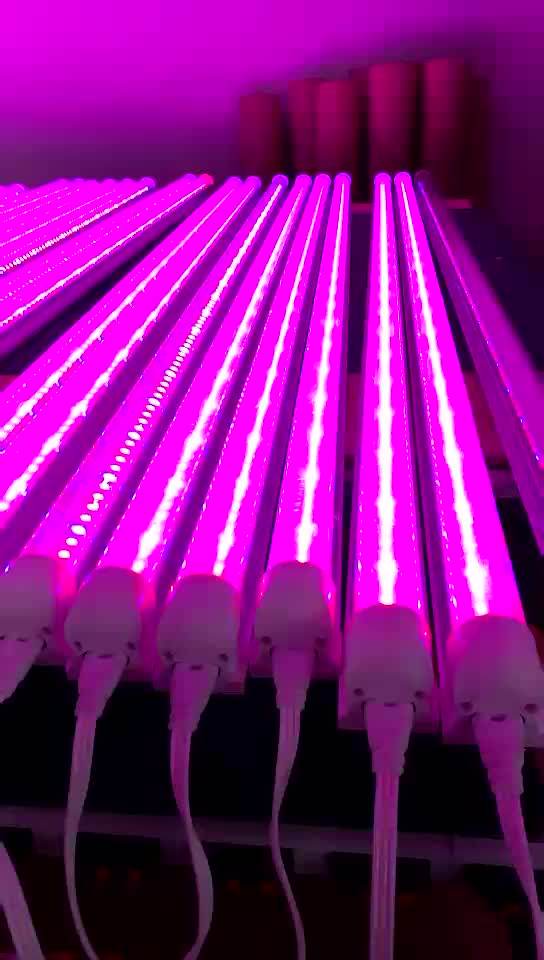 Greenhouse Tissue Culture Led Plant Growth Lamp T8 Growth Lamp Red And Blue Full Spectrum Led