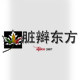 脏辫东方深圳尼尔卡丝假发的LOGO