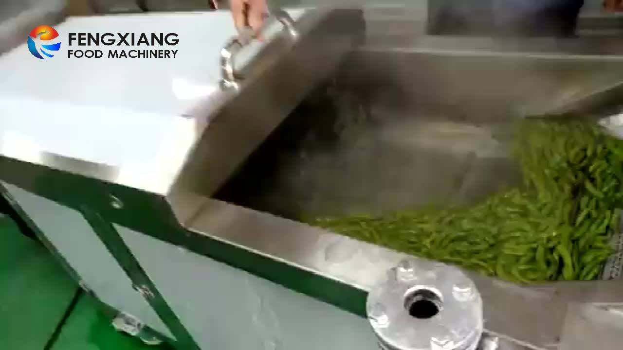 Customized Potato Starch Washing Machine Potato Chips Blanching Machine