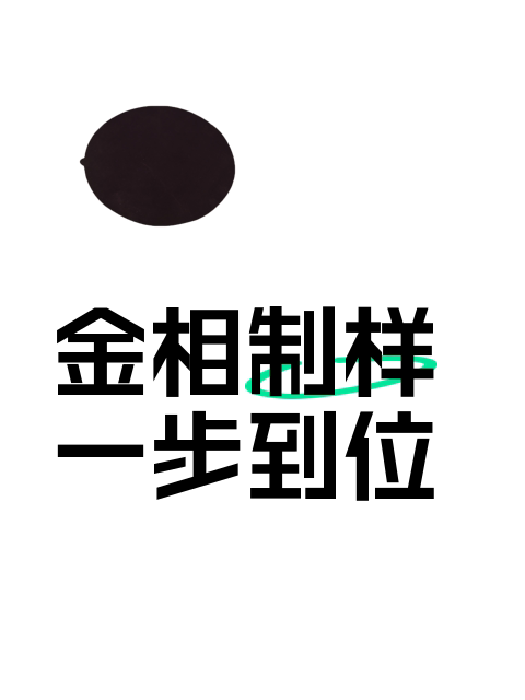 金相制样一步到位-淘宝逛一逛