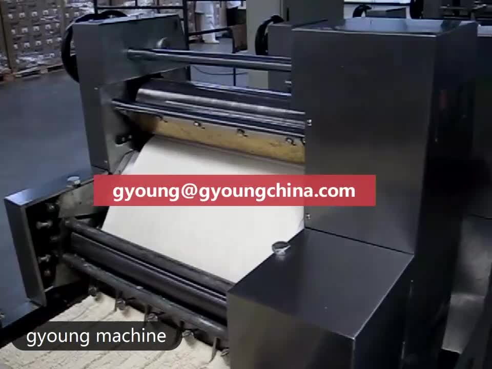 Professional Industrial Large Scale Automatic Italgi Pama Roma Macroni