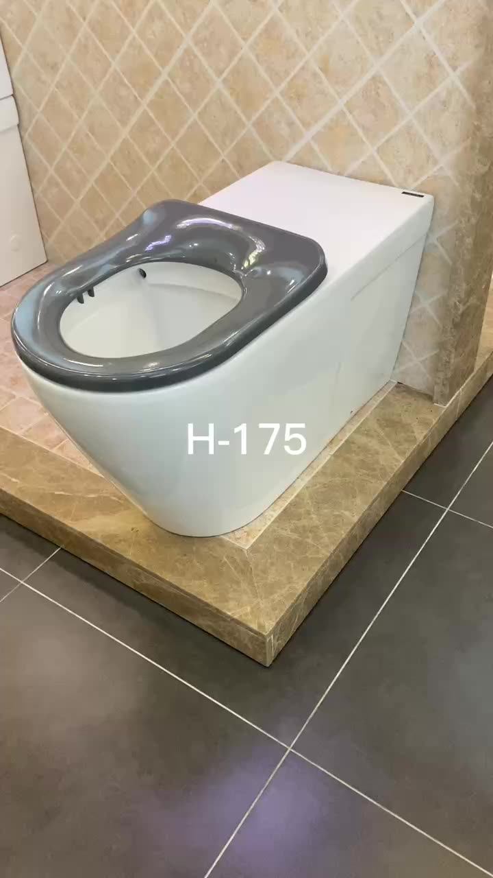 Raised Height Toilets Handicapped Care Wc Box Rim Retro Sanitary Mobile