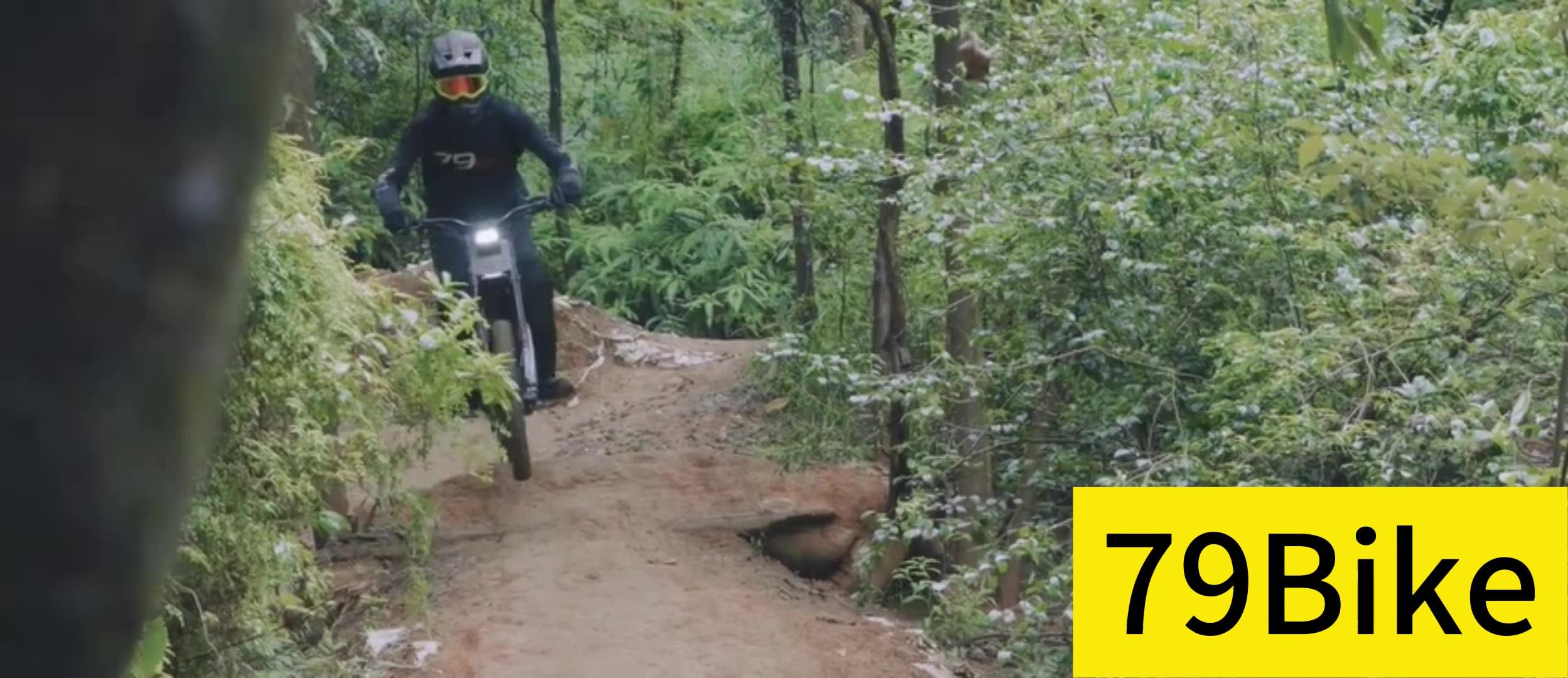 79bikefalcon M Electric Dirt Bike 8000w Off Road Mtb High Powerful