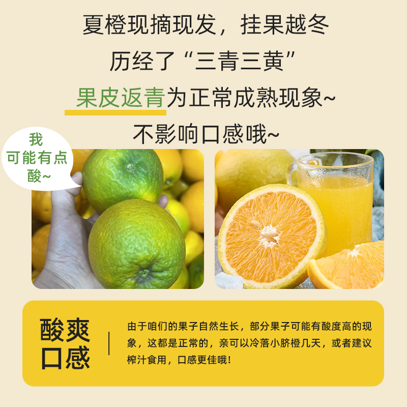 【芭芭农场】夏橙3斤65mm+: 酸爽可口的秘密武器，榨汁新宠儿！