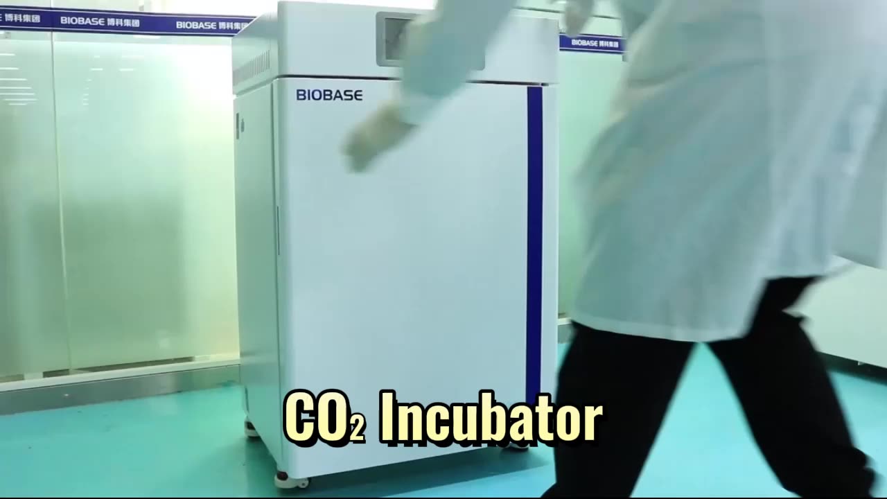 Biobase High Quality Co2 Incubator Bjpxc50 With Capacity 50l Air