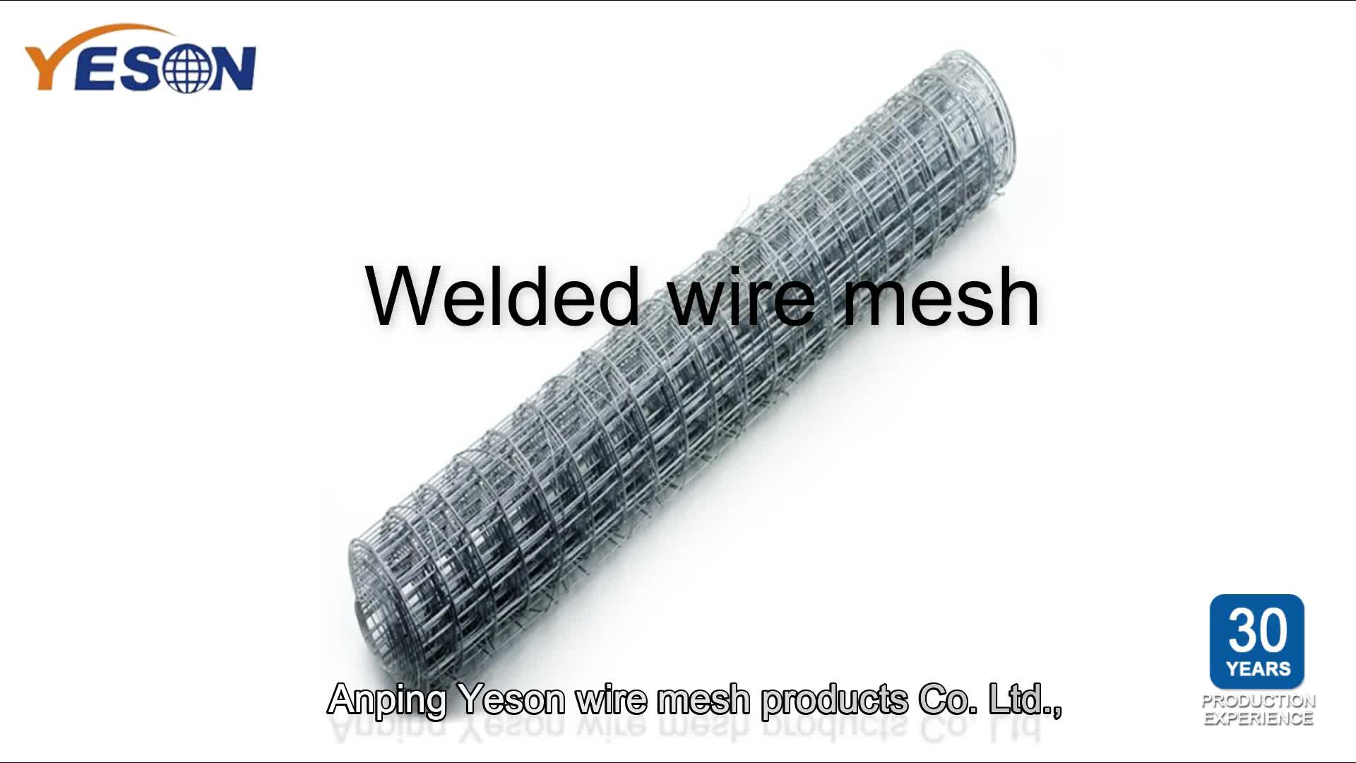 High Quality Square Wire Mesh 2x2 4x4 5x5cm Electro Hot Dipped