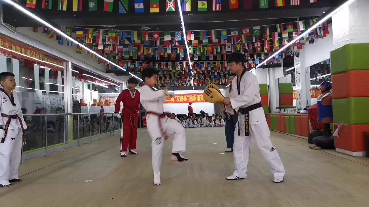 Taekwondo WT Poomsae