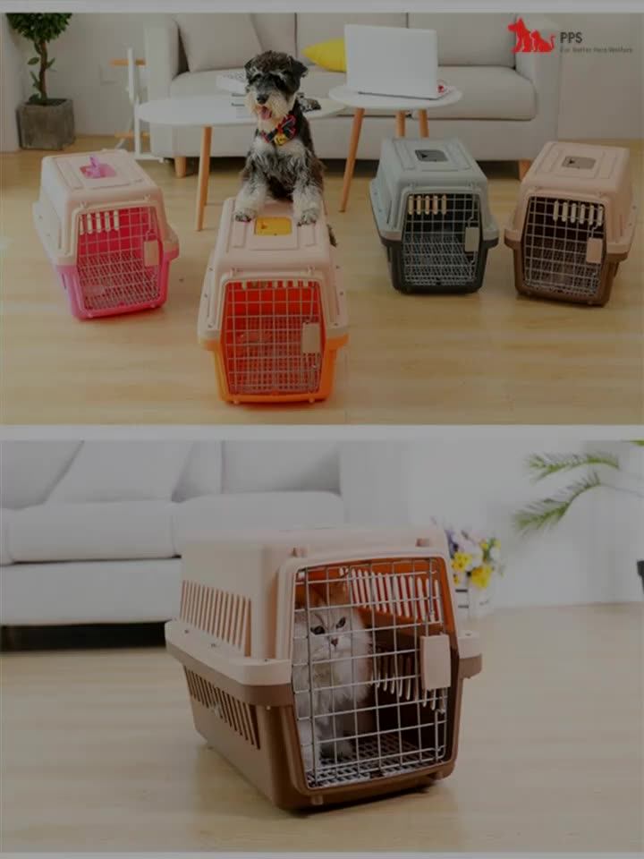 Iata Regulated Airline Approved Portable Plastic Large Pet Dog Cat Air