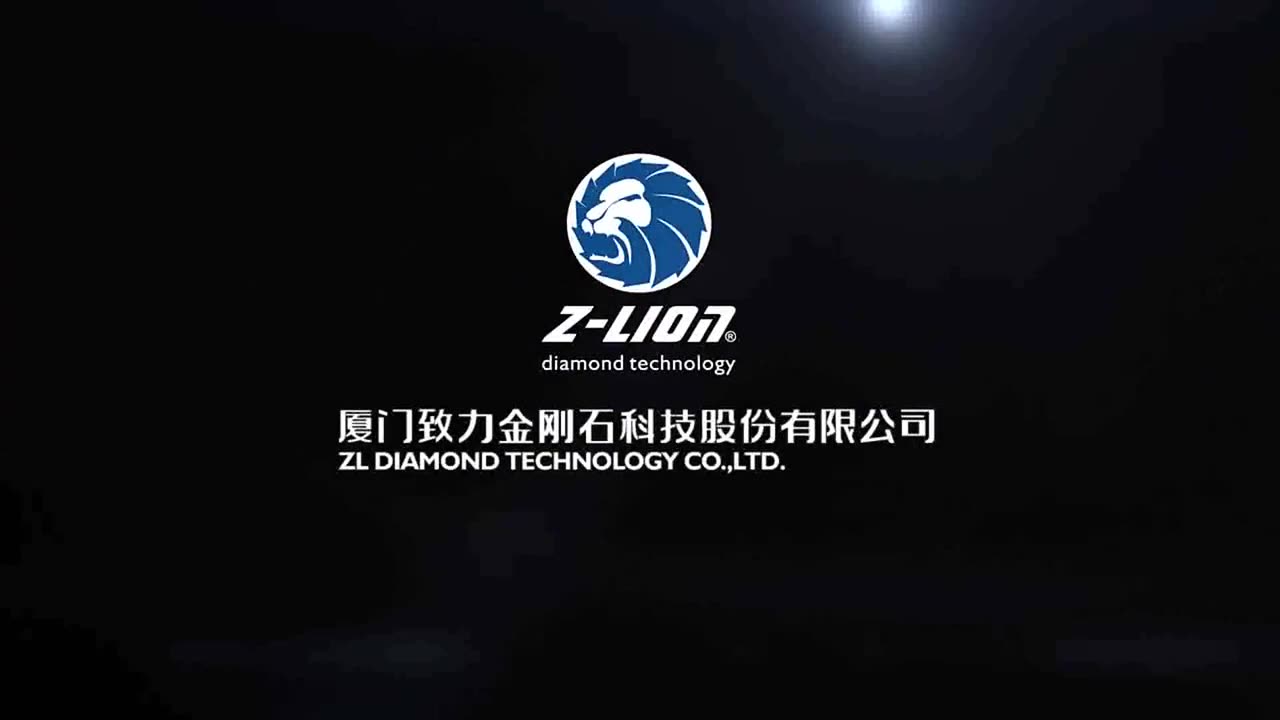 Бриллиантовое режущее лезвие Z-LION 9 &quot230 мм 2 шт./лот для камня защитные зубья Turbo