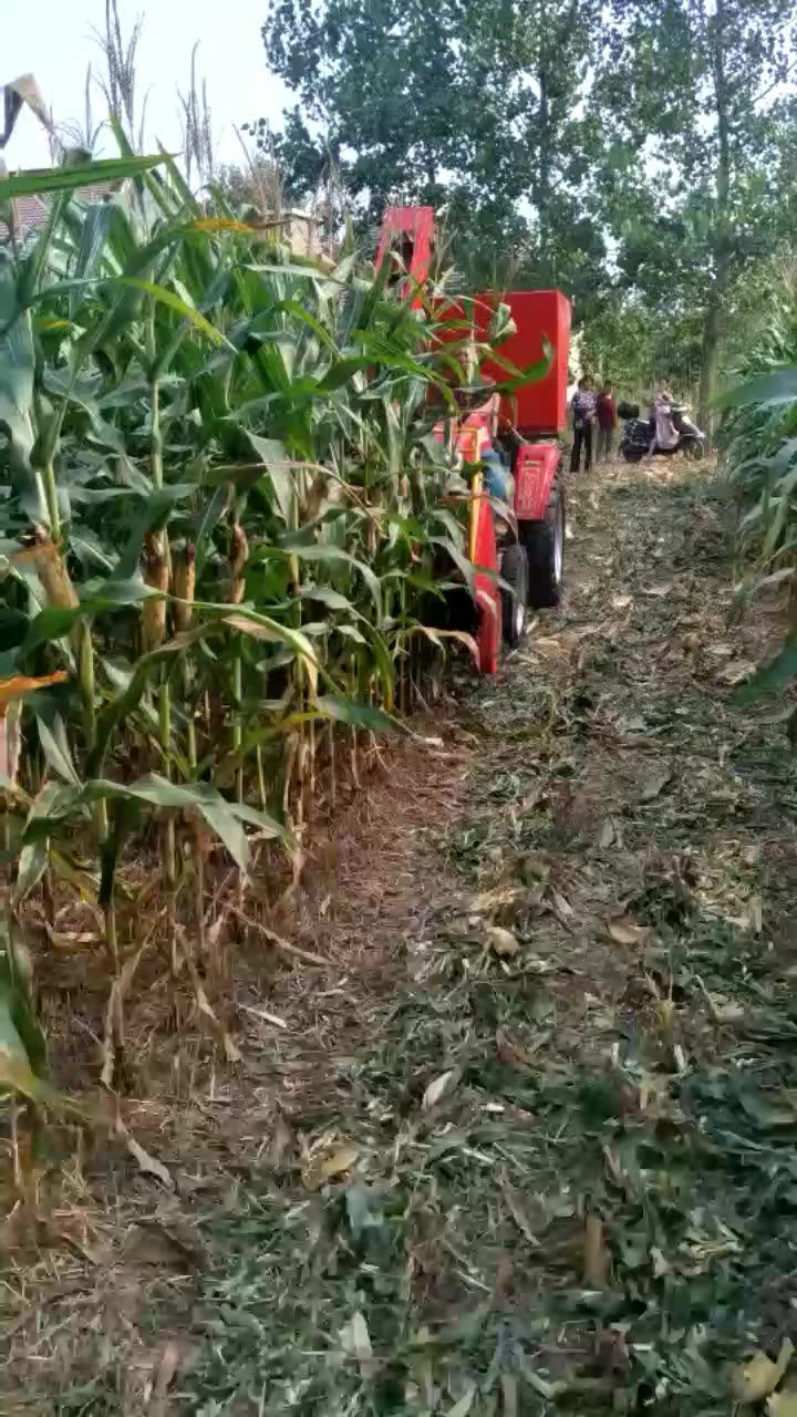 Factory Hot Sales Corn Combine Harvester Price Tractor Mounted Corn