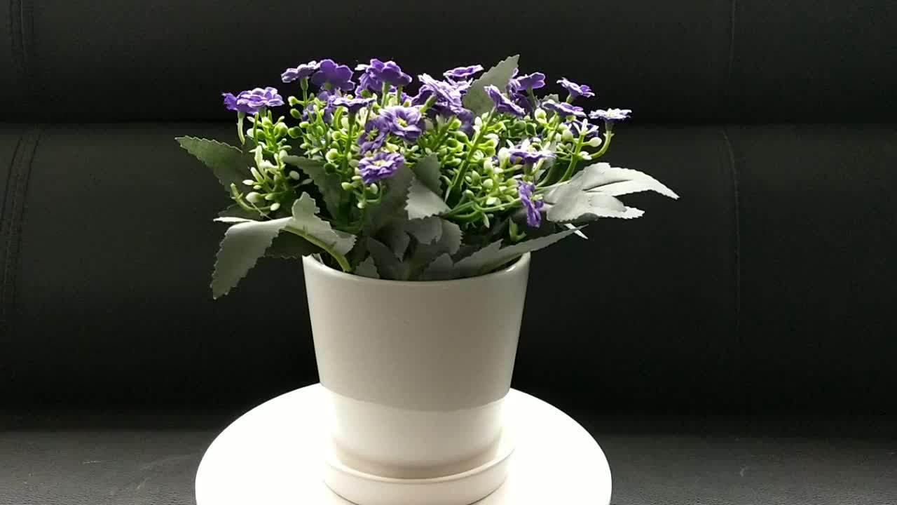 Cheap White Small Round Mini Ceramic Plant Flower Pot 4inch Pot Buy Mini White Ceramic Flower