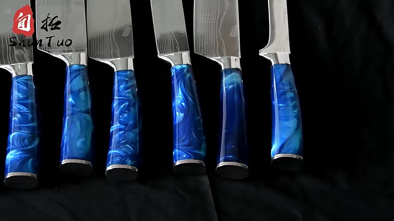 10 Pcs Exquisite Blue Resin Handle Laser Damascus Pattern Chef Knife
