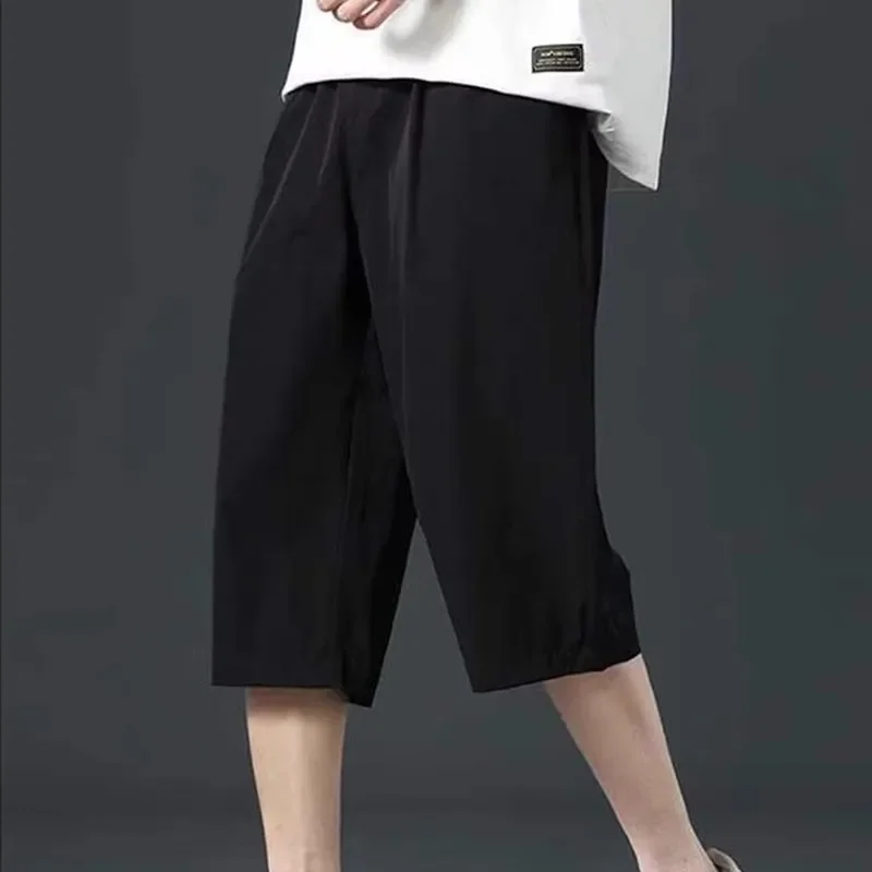 Shorts, men's thin beach silk quick dry universal trousers