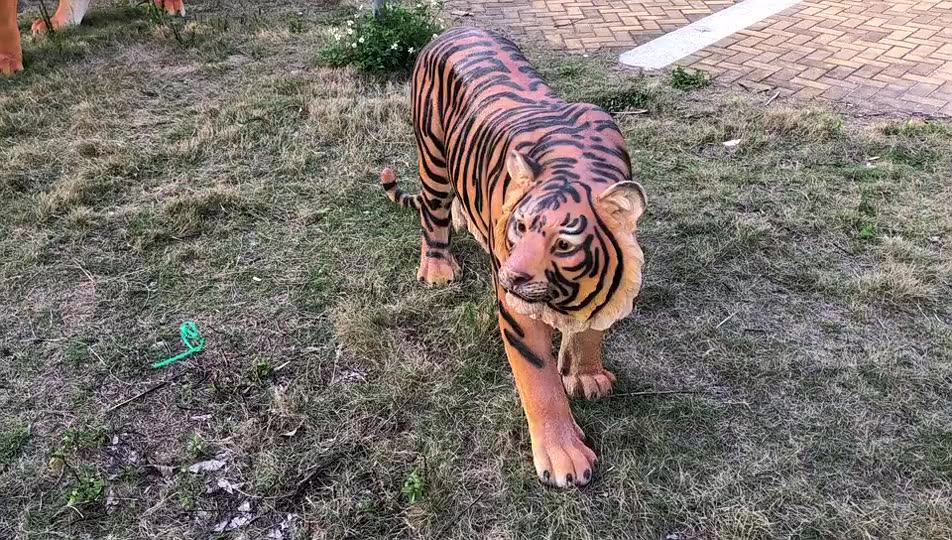 Custom Life Size Bengal White Tlger Statue Outdoor Park Zoo Landscape