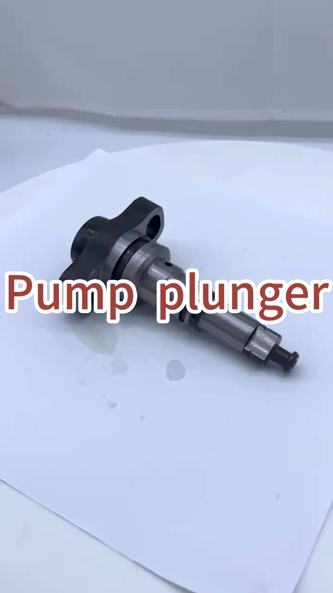 2418455134 Diesel Fuel Injection Pump Plunger for Mercedes Benz