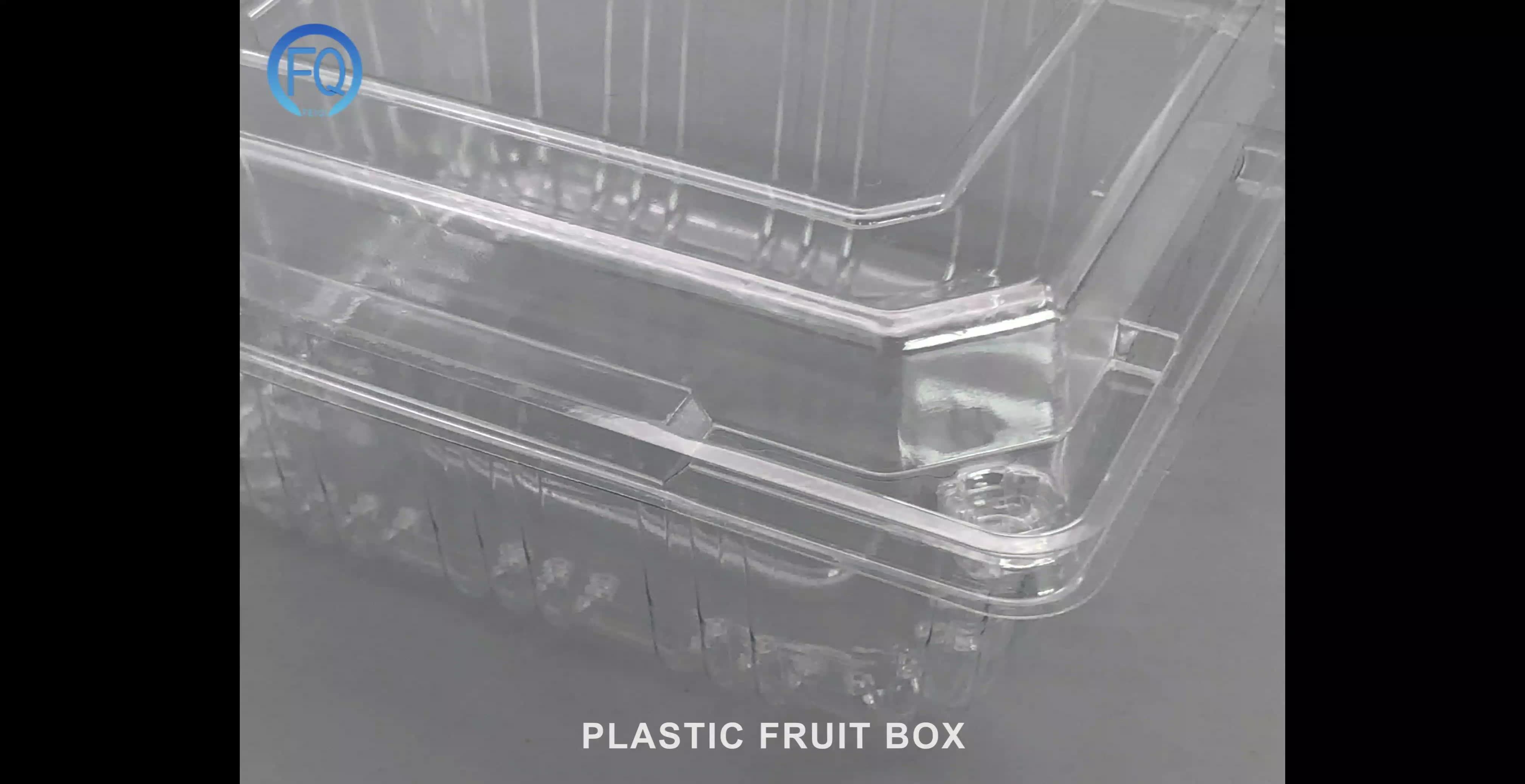 Customized Clear Plastic Disposable Clamshell Vegetable Fruit