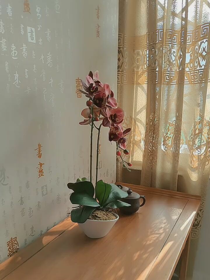 Hejia Phalaenopsis simulation fake flower suit potted home decoration Eternal flower feel silk flower Office green plant