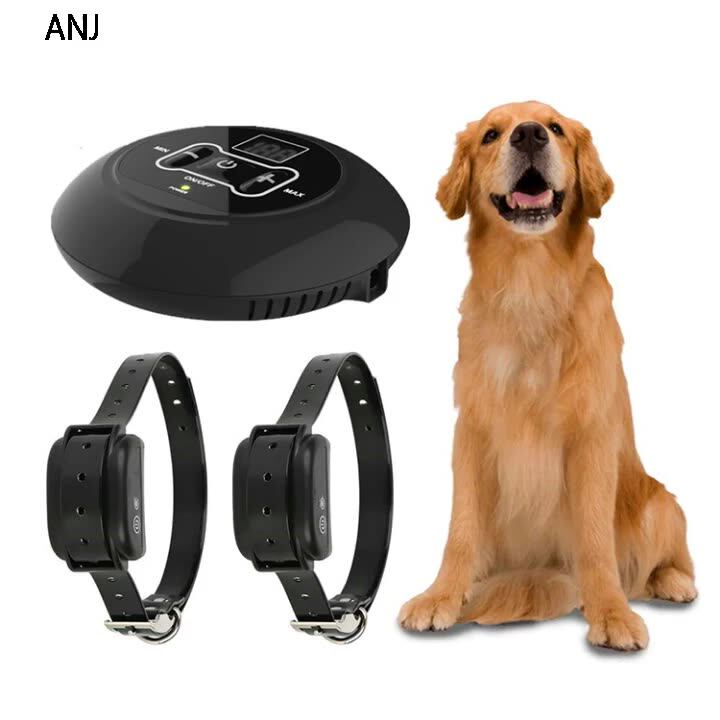 electric dog control