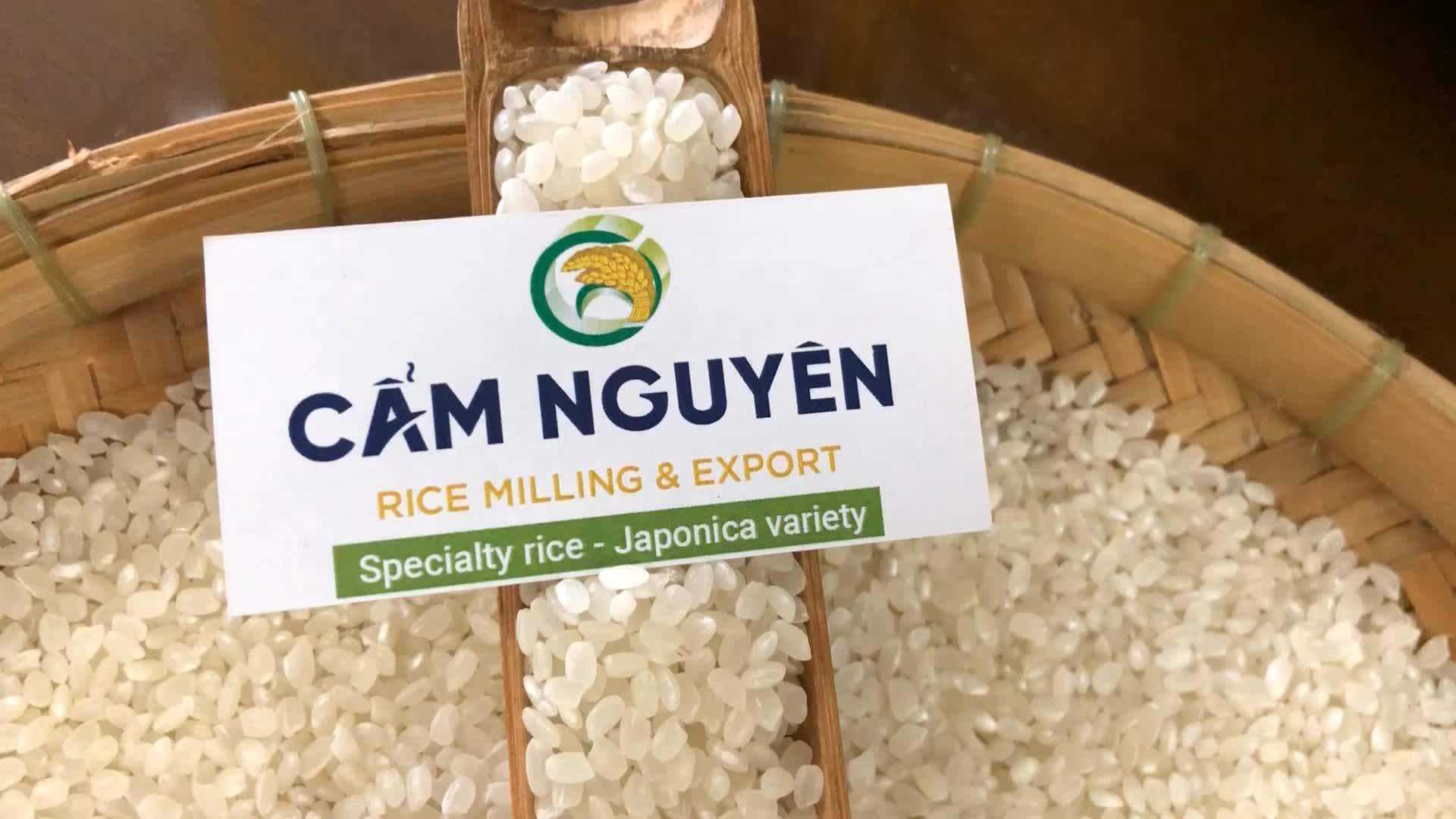 Cam Rice Vietnam Export Wholesale Japonica Rice 2020 Crop Hot Sale Cheaper Medium Round Grain 5