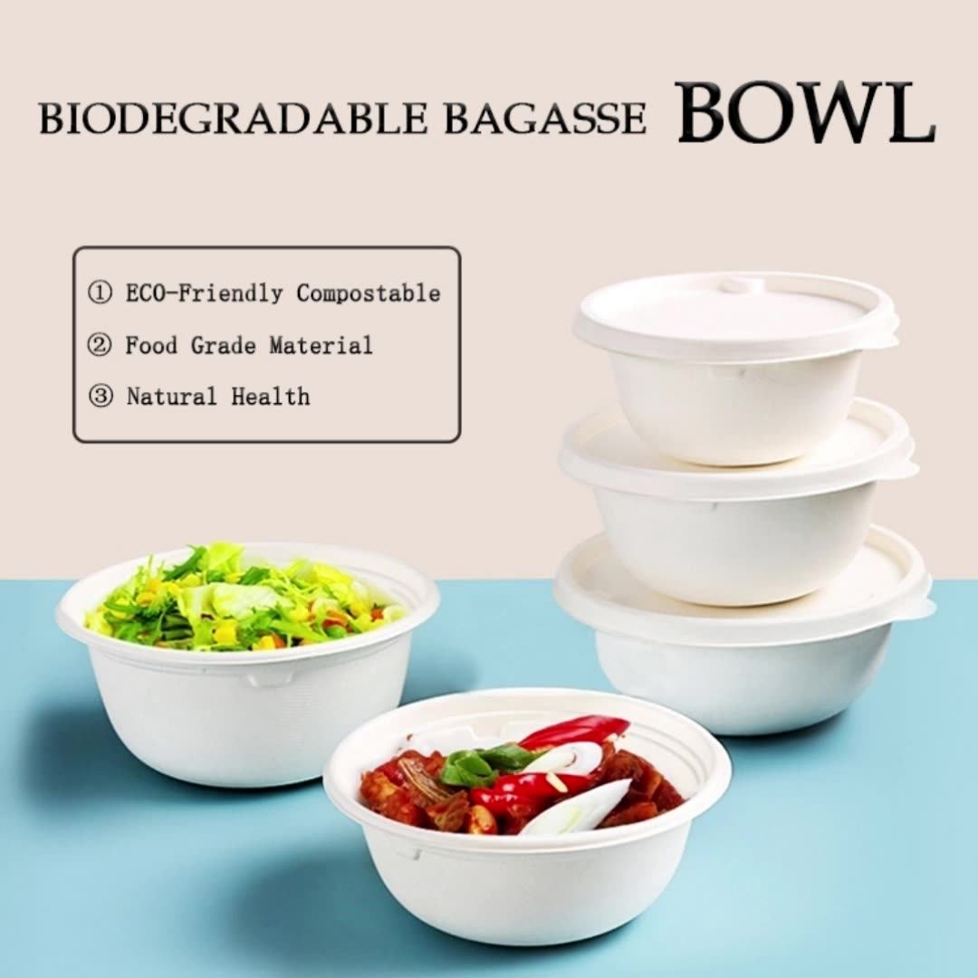 Biodegradable Sugarcane Bagasse Disposable Food Container Disposable 350ml Bowl With Lids For