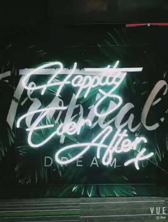 China Supplier Custom Neon Sign Letters Acrylic Advertising Led Neon