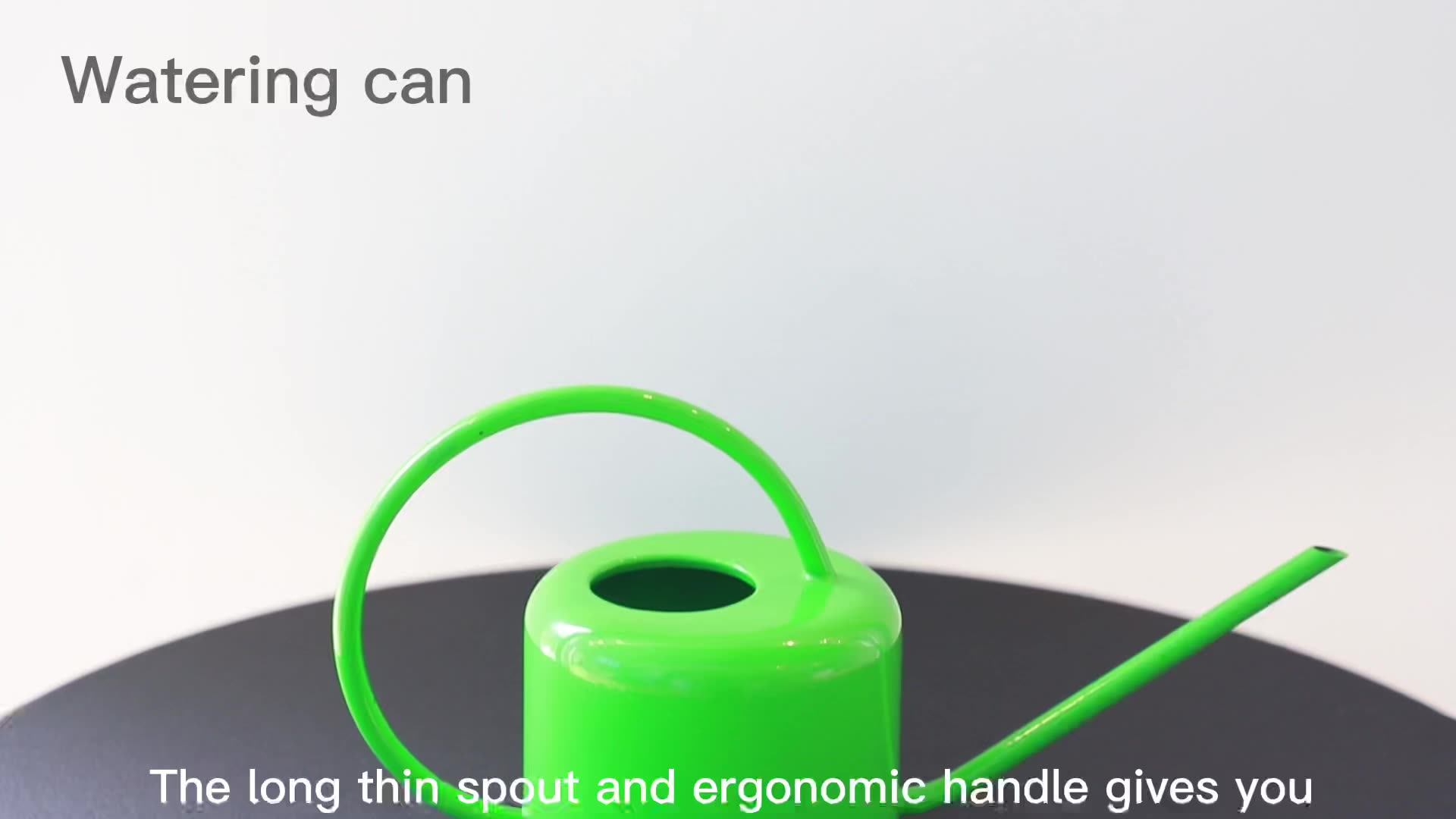 Custom Easy Pour Long Narrow Spout Water Can Galvanized Indoor&outdoor