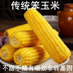 逸帆农家乐