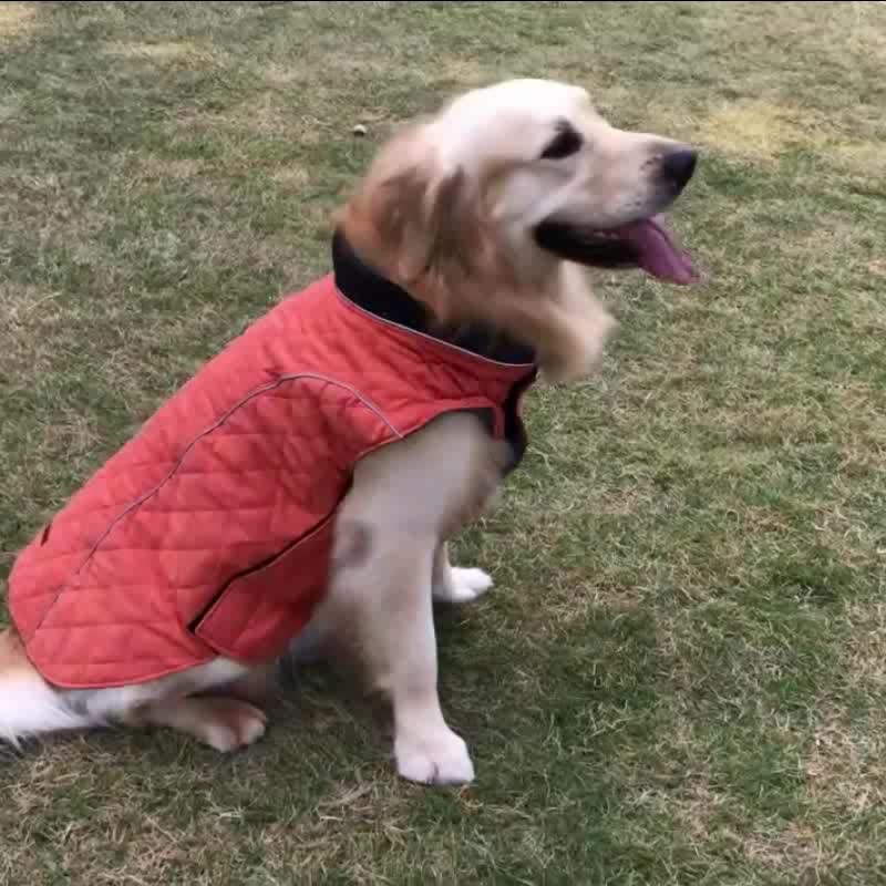 Multi Color Vintage Clothes Dog All Size Winter Plaid Warm Large Pet