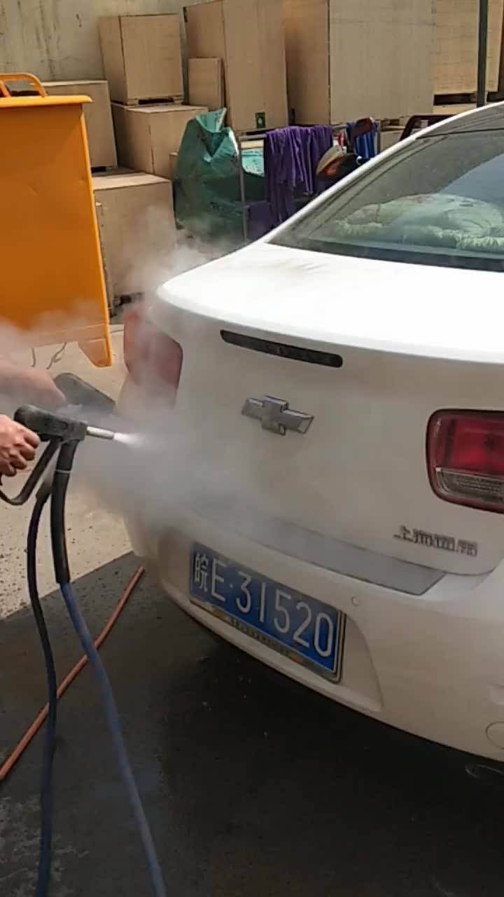 Ce 15bar 30kg Mobile Mini Lpg Heat Portable Steam Car Washing Machine Buy Steam Car Washing