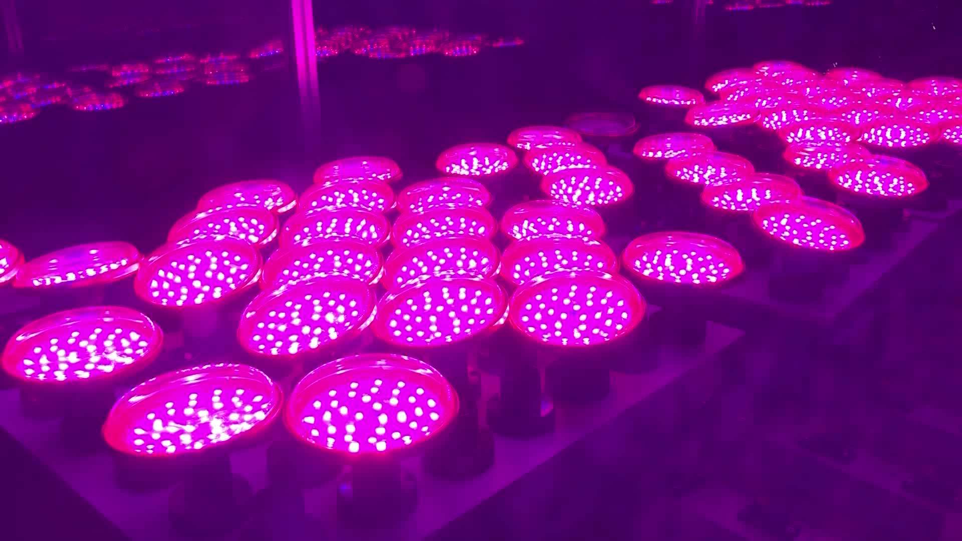 High Quality Pitaya Led Grow Light 15w Led Grow Light Bulb Agricultural