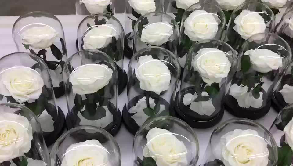 Preserved Rose Artificial Everlasting Natural Eternal Flower In Glass