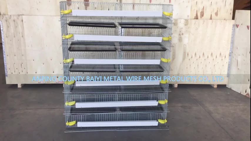 Poultry Quail Layer Cages For Quail Birds Farming Cage For Quail Hens
