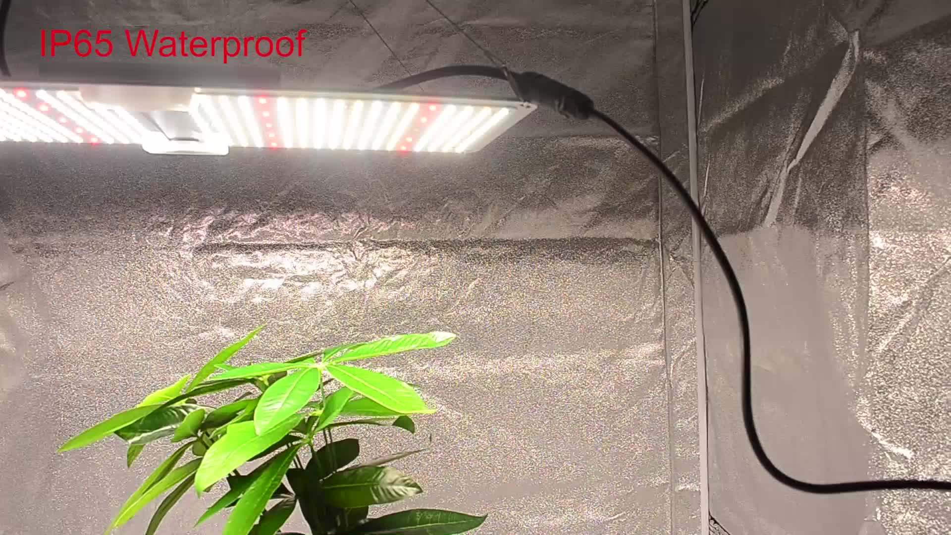 Dimmable Led Indoor Plants Grow Lights Vegetable Samsung Lm301h Lm301b