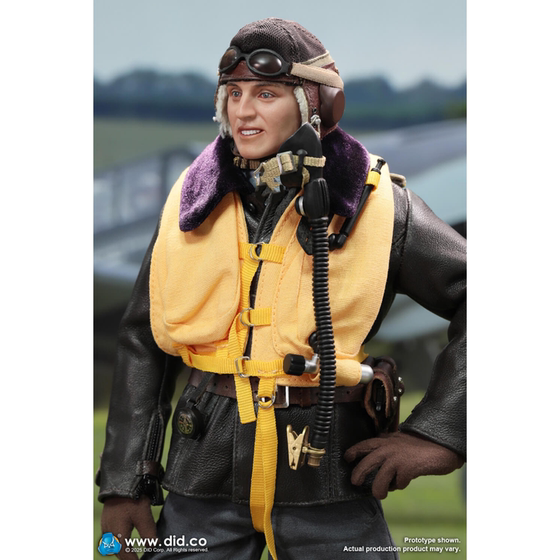 Did D80190 Ace Pilot Hartmann 1/6 Scale Soldier Model Bf-109G Cockpit E60083