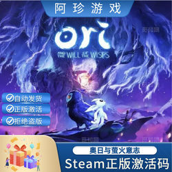Steam Genuine Ori 2: the Will of the Wisps Activation Code