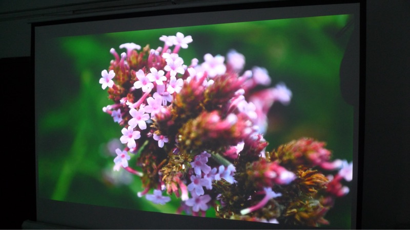 Máy chiếu HD gia đình 1080P đôi HDMI giá trị sản phẩm mới - Máy chiếu